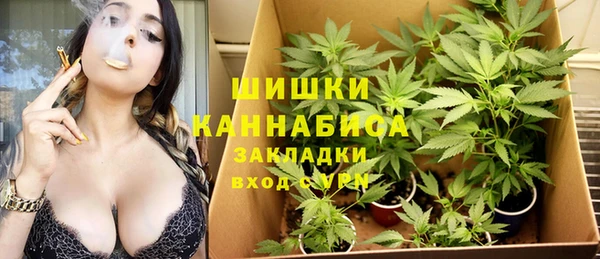 МДПВ Бронницы