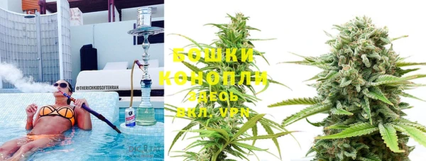 МДПВ Бронницы