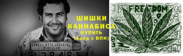 МДПВ Бронницы