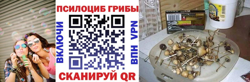 мега онион  Дивногорск  Галлюциногенные грибы ЛСД  продажа наркотиков 