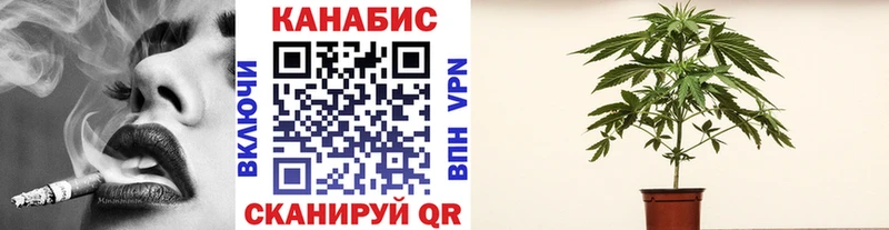 как найти наркотики Дивногорск Бошки Шишки AK-47